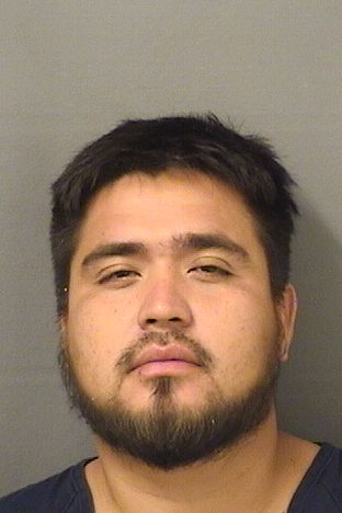  ELBIN MENDOZA Results from Palm Beach County Florida for  ELBIN MENDOZA