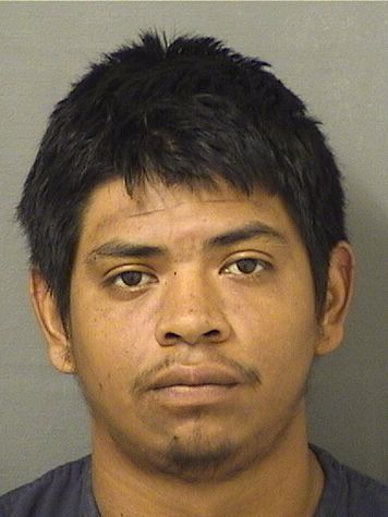  JADER JAVIER CASTILLOBELLO Results from Palm Beach County Florida for  JADER JAVIER CASTILLOBELLO