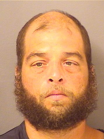 MICHAEL G AGOSTO Results from Palm Beach County Florida for MICHAEL G AGOSTO MICHAEL G AGOSTO Results from Palm Beach County Florida for MICHAEL G AGOSTO