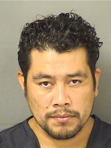  ANIBAL DAVID Jr CHINCHILLASIPAQUE Photo