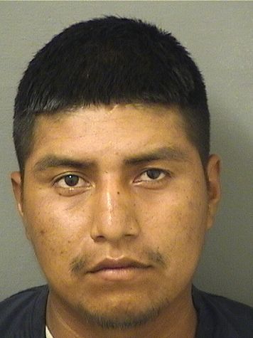  NELSON MAURICIO PEREZMORALES Results from Palm Beach County Florida for  NELSON MAURICIO PEREZMORALES