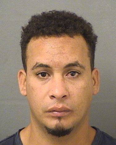  YULIANDRIS FROMETAORTIZ Results from Palm Beach County Florida for  YULIANDRIS FROMETAORTIZ