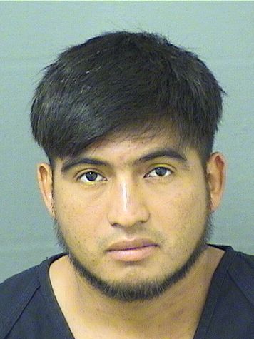  MARIO FERNANDO LOPEZMENDEZ Results from Palm Beach County Florida for  MARIO FERNANDO LOPEZMENDEZ