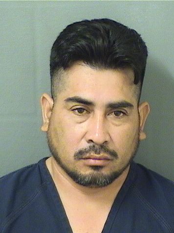  JOSE PAULINO PEREZ Results from Palm Beach County Florida for  JOSE PAULINO PEREZ