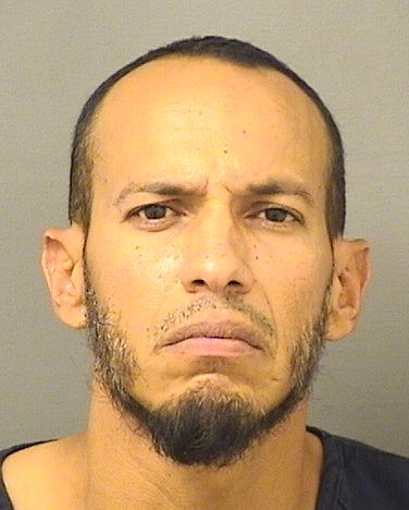  VICENTE GABRIEL PEREZESTUPINAN Results from Palm Beach County Florida for  VICENTE GABRIEL PEREZESTUPINAN