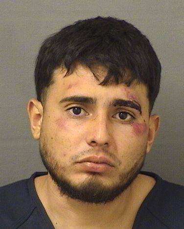  JOSHUA ABREUPINEDA Results from Palm Beach County Florida for  JOSHUA ABREUPINEDA