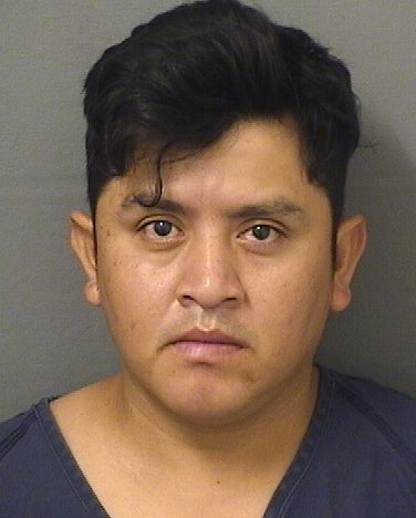  MYNOR FELIPE VASQUEZNAVICHOC Resultados de la busqueda para Palm Beach County Florida para  MYNOR FELIPE VASQUEZNAVICHOC