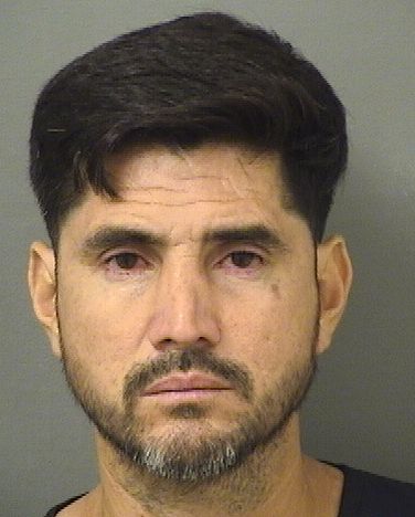  ORLANDO JOSE ORTEGANIETO Results from Palm Beach County Florida for  ORLANDO JOSE ORTEGANIETO