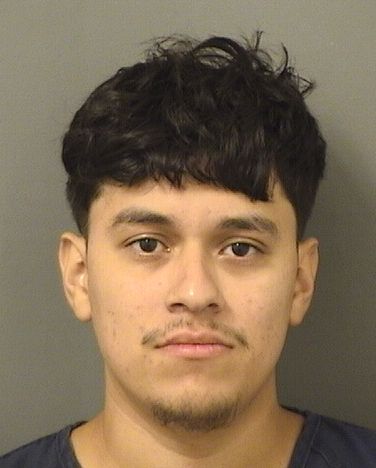  RICHIE GIOVANNI GUTIERREZ Results from Palm Beach County Florida for  RICHIE GIOVANNI GUTIERREZ