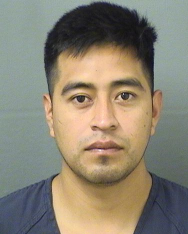  MATEO ANTONIO PEDRO Results from Palm Beach County Florida for  MATEO ANTONIO PEDRO