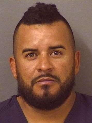  MAURICO M POSADASANDRADE Results from Palm Beach County Florida for  MAURICO M POSADASANDRADE
