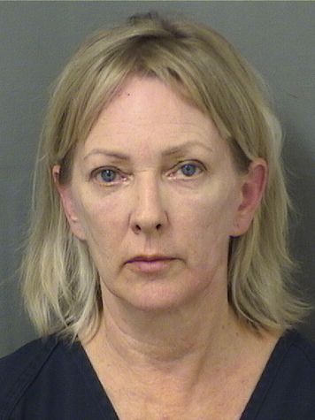  ELAINE JAFFIN Results from Palm Beach County Florida for  ELAINE JAFFIN