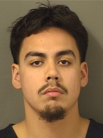  MATEO MANUEL GIL Results from Palm Beach County Florida for  MATEO MANUEL GIL