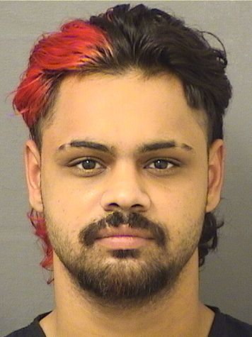  GABRIEL STELIYAN RODRIGUEZPENA Results from Palm Beach County Florida for  GABRIEL STELIYAN RODRIGUEZPENA