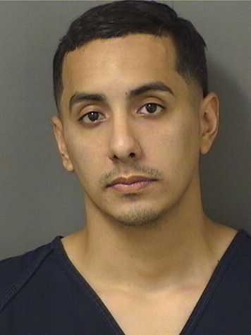  CHRISTIAN GIOVANNI LOZANO Results from Palm Beach County Florida for  CHRISTIAN GIOVANNI LOZANO