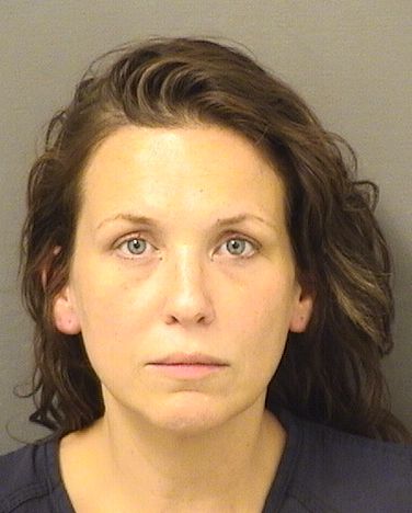  HEATHER MICHELLE HANSING Results from Palm Beach County Florida for  HEATHER MICHELLE HANSING