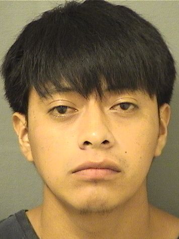  YERLIN ESTUARDO ESCALANTERAMIREZ Results from Palm Beach County Florida for  YERLIN ESTUARDO ESCALANTERAMIREZ