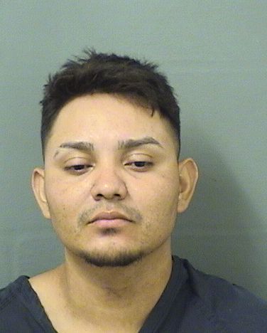  DAVID JARQUIN Resultados de la busqueda para Palm Beach County Florida para  DAVID JARQUIN