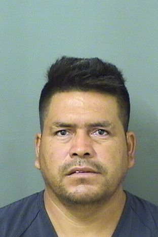  LUIS TAPIAAGUILAR Results from Palm Beach County Florida for  LUIS TAPIAAGUILAR
