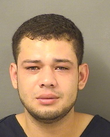  JULIAN CAMILO CARDOZOREY Results from Palm Beach County Florida for  JULIAN CAMILO CARDOZOREY