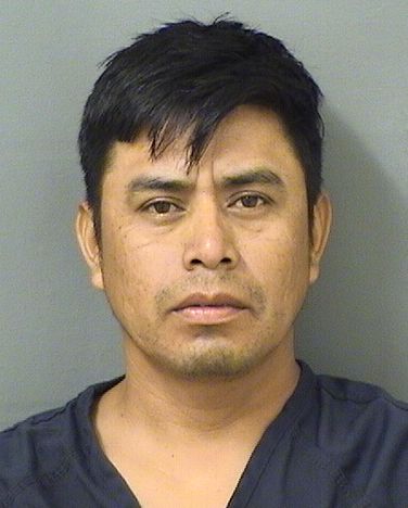  DELFINO GUTIERREZCRUZ Results from Palm Beach County Florida for  DELFINO GUTIERREZCRUZ