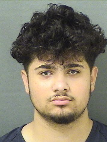 ADRAIN MICLESCU Results from Palm Beach County Florida for ADRAIN MICLESCU ADRAIN MICLESCU Results from Palm Beach County Florida for ADRAIN MICLESCU