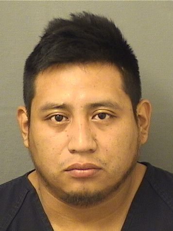  ERVIN ALEXANDER CAALSAGUI Results from Palm Beach County Florida for  ERVIN ALEXANDER CAALSAGUI