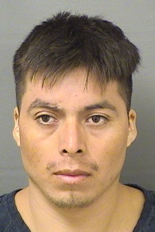  IVAN JOSE RAMOSCHILEL Results from Palm Beach County Florida for  IVAN JOSE RAMOSCHILEL