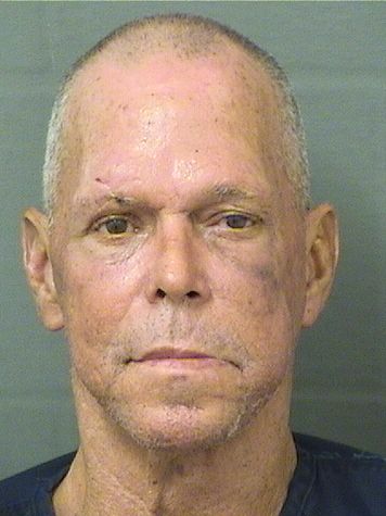  MICHAEL WALTER BROWN Results from Palm Beach County Florida for  MICHAEL WALTER BROWN