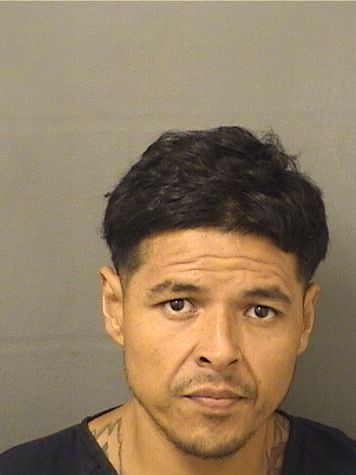 ADALBERTO JAIMES Results from Palm Beach County Florida for ADALBERTO JAIMES ADALBERTO JAIMES Results from Palm Beach County Florida for ADALBERTO JAIMES