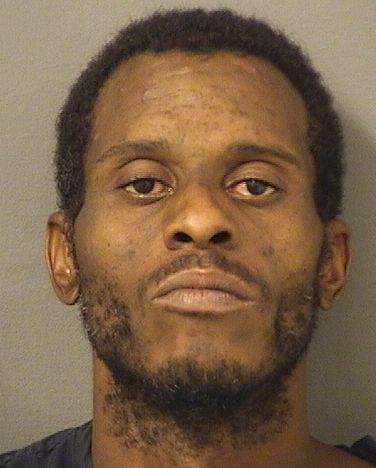  DERYCK LYNDEL PICKERING Results from Palm Beach County Florida for  DERYCK LYNDEL PICKERING