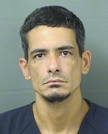  JORGE LUIS APONTESANTIAGO Results from Palm Beach County Florida for  JORGE LUIS APONTESANTIAGO