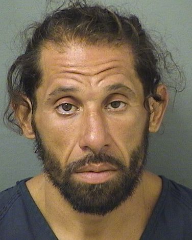  SAMMUEL EMMANUEL SANTIAGO Results from Palm Beach County Florida for  SAMMUEL EMMANUEL SANTIAGO