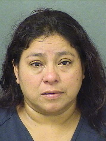  FRANCISCA VASQUEZESCALANTE Results from Palm Beach County Florida for  FRANCISCA VASQUEZESCALANTE