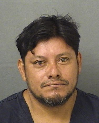  NICHOLAS T RAMOS Resultados de la busqueda para Palm Beach County Florida para  NICHOLAS T RAMOS