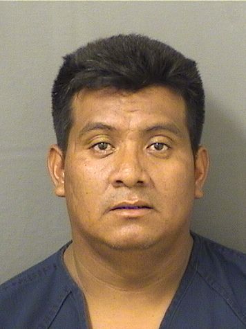  ANTONIO OVAD CASHMORALES Resultados de la busqueda para Palm Beach County Florida para  ANTONIO OVAD CASHMORALES