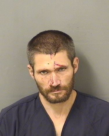 MICHAEL GIANNOTTI Results from Palm Beach County Florida for MICHAEL GIANNOTTI MICHAEL GIANNOTTI Results from Palm Beach County Florida for MICHAEL GIANNOTTI