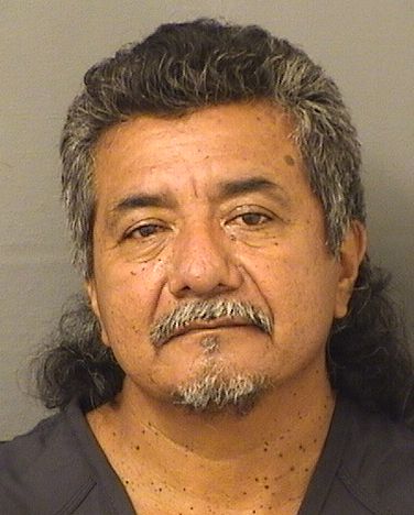  EDGAR RENE CASTILLOMORALES Resultados de la busqueda para Palm Beach County Florida para  EDGAR RENE CASTILLOMORALES