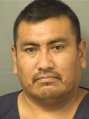  NERY LOPEZBALTAZAZAR Results from Palm Beach County Florida for  NERY LOPEZBALTAZAZAR