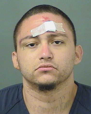  PABLO ORTEGA Resultados de la busqueda para Palm Beach County Florida para  PABLO ORTEGA