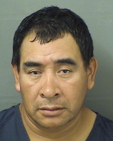  JUAN SIMON AJUCUMPAR Results from Palm Beach County Florida for  JUAN SIMON AJUCUMPAR