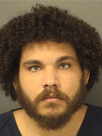  JOHAN THOMAS MASON Results from Palm Beach County Florida for  JOHAN THOMAS MASON