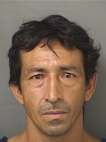  JOSE EDUNRDO GUTIERREZ Results from Palm Beach County Florida for  JOSE EDUNRDO GUTIERREZ