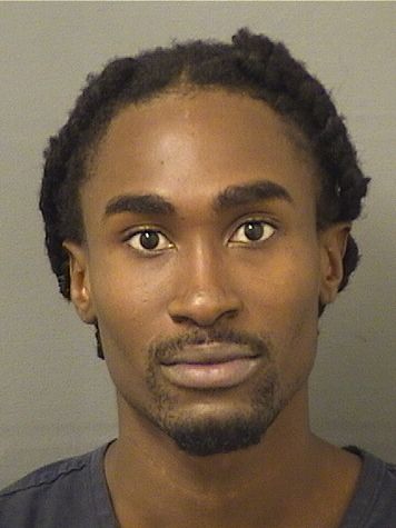  JOSEPH DESINA Results from Palm Beach County Florida for  JOSEPH DESINA