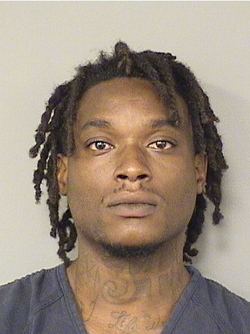  JOHNTAVIS RICHARD Results from Palm Beach County Florida for  JOHNTAVIS RICHARD