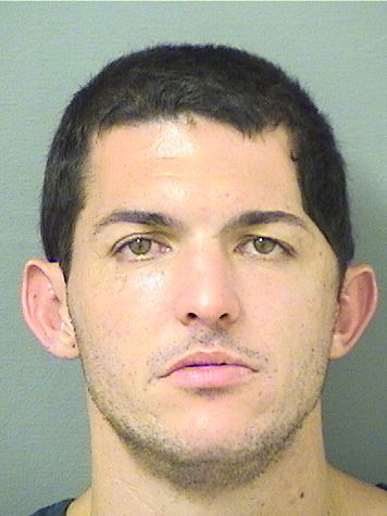 ALEXANDER JASON REINER Results from Palm Beach County Florida for  ALEXANDER JASON REINER