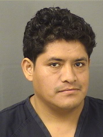 ELMER JEREMIAS MEJIA Results from Palm Beach County Florida for ELMER JEREMIAS MEJIA ELMER JEREMIAS MEJIA Results from Palm Beach County Florida for ELMER JEREMIAS MEJIA