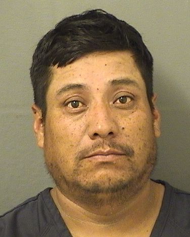  RUDY JOEL ORTIZGONZALEZ Resultados de la busqueda para Palm Beach County Florida para  RUDY JOEL ORTIZGONZALEZ