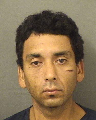  PABLO A FLORES Photo For  PABLO A FLORES