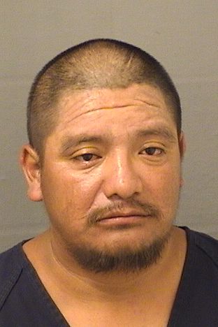  TOMAS PASCUAL Resultados de la busqueda para Palm Beach County Florida para  TOMAS PASCUAL